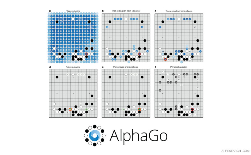 alphago-principle－1